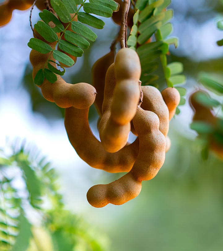 11 Effective Ways To Use Tamarind For Skin Care