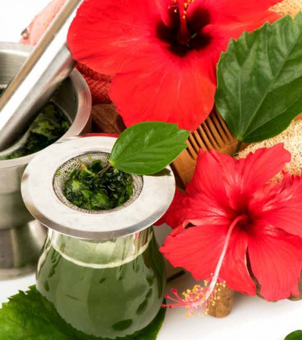 16 Effective Ways To Use Hibiscus For Your Hair
