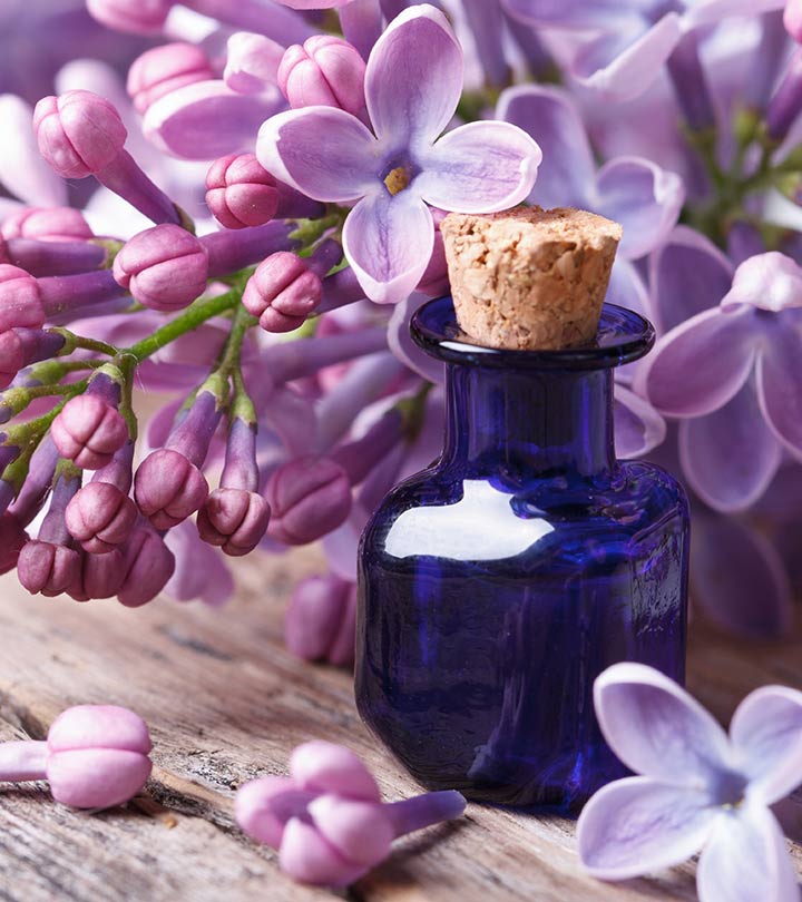 9 Amazing Benefits Of Lilac Essential Oil