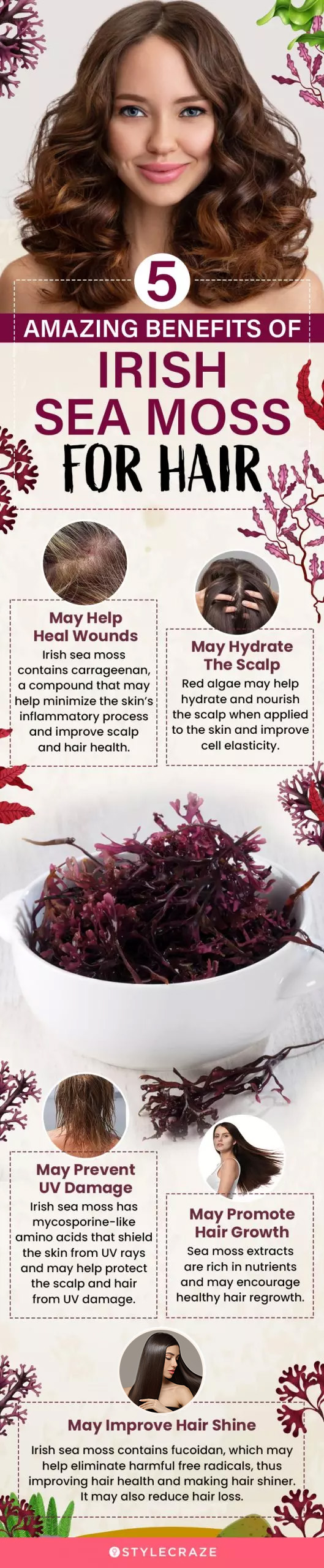 5 amazing benefits of irish sea moss for hair (infographic)