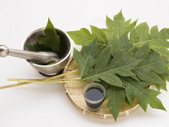 8 Benefits Of Papaya Leaf Juice, How To Make, & Side Effects